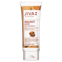 Veido šveitiklis su graikiniais riešutais Walnut Scrub, Jiva Ayurveda, 100g цена и информация | Средства для очищения лица | pigu.lt