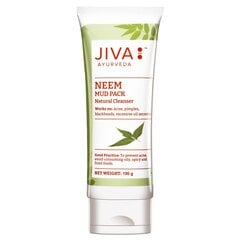 Veido kaukė su nimbamedžiu Neem Jiva Ayurveda, 100g kaina ir informacija | Veido kaukės, paakių kaukės | pigu.lt