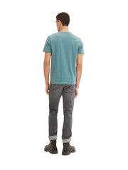 Мужская футболка Tom Tailor 1023906*14778, тёмно-синяя цена и информация | Мужские футболки | pigu.lt