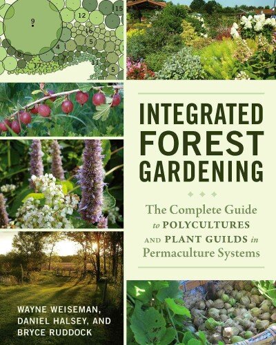 Integrated Forest Gardening: The Complete Guide to Polycultures and Plant Guilds in Permaculture Systems kaina ir informacija | Socialinių mokslų knygos | pigu.lt