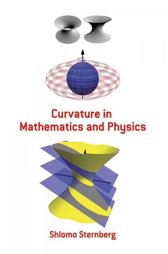 Curvature in Mathematics and Physics цена и информация | Ekonomikos knygos | pigu.lt