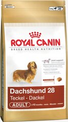 Корм для собак Royal Canin Dachshund Adult 0,5 kg цена и информация | Сухой корм для собак | pigu.lt
