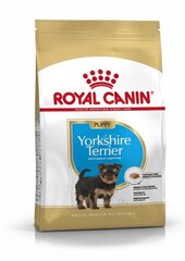 Корм для собак Royal Canin Yorkshire Terrier 29 Junior 0,5 кг цена и информация | Сухой корм для собак | pigu.lt