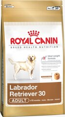 Royal Canin Labrador Retriever Adult 12 кг цена и информация |  Сухой корм для собак | pigu.lt