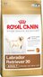 Royal Canin Labrador Retriever Adult 12 kg kaina ir informacija | Sausas maistas šunims | pigu.lt