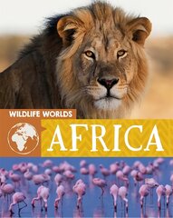 Wildlife Worlds: Africa Illustrated edition kaina ir informacija | Knygos paaugliams ir jaunimui | pigu.lt