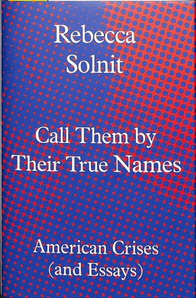 Call Them by Their True Names: American Crises (and Essays) цена и информация | Poezija | pigu.lt