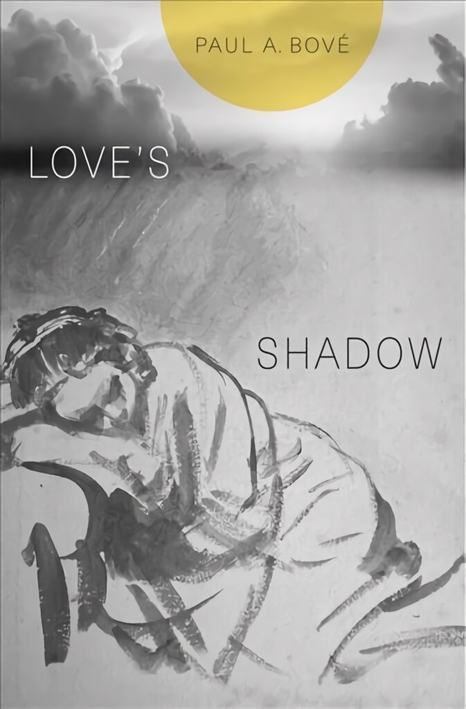 Love's Shadow цена и информация | Istorinės knygos | pigu.lt