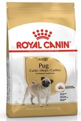 Royal Canin для взрослых мопсов Pug Adult, 1,5 кг цена и информация | Сухой корм для собак | pigu.lt