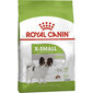 Royal Canin X-Small Adult 0,5 kg цена и информация | Sausas maistas šunims | pigu.lt