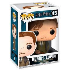 POP Harry Potter Remus Lupin kaina ir informacija | Žaidėjų atributika | pigu.lt