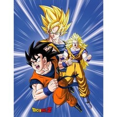 Pledas Dragon Ball, 130x170 cm kaina ir informacija | Lovatiesės ir pledai | pigu.lt