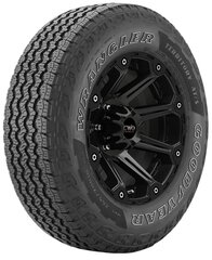 Goodyear Wrangler Territory AT/S 255/65R18 111 H kaina ir informacija | Vasarinės padangos | pigu.lt