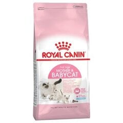 Royal Canin Babycat, 400 г цена и информация | Сухой корм для кошек | pigu.lt