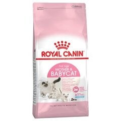 Сухой корм для кошек Royal Canin Babycat 2 kg цена и информация | Сухой корм для кошек | pigu.lt