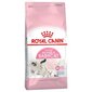 Royal Canin Babycat 2 kg kaina ir informacija | Sausas maistas katėms | pigu.lt