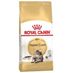 Сухой корм для кошек Royal Canin Maine Coon, 400 гр цена и информация | Сухой корм для кошек | pigu.lt