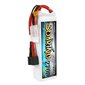 Akumuliatorius Gens ACE Speating 2700MAH 11,1 V 30C 3S1P Z EC3/XT60/T-PUG kaina ir informacija | Akumuliatoriai | pigu.lt