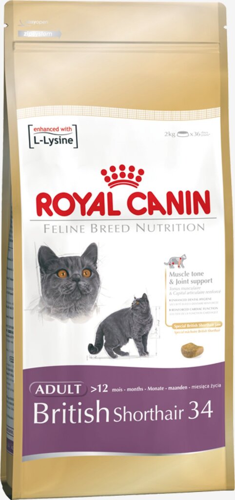 Royal Canin britų trumpaplaukėms katėms, 400 g kaina ir informacija | Sausas maistas katėms | pigu.lt