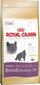 Royal Canin britų trumpaplaukėms katėms, 400 g kaina ir informacija | Sausas maistas katėms | pigu.lt