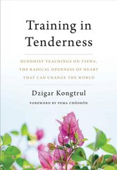 Training in Tenderness: Buddhist Teachings on Tsewa, the Radical Openness of Heart That Can Change the World цена и информация | Духовная литература | pigu.lt