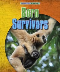 Born Survivors kaina ir informacija | Knygos paaugliams ir jaunimui | pigu.lt