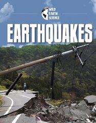 Earthquakes цена и информация | Книги для подростков и молодежи | pigu.lt