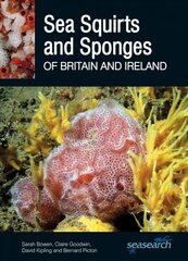 Sea Squirts and Sponges of Britain and Ireland цена и информация | Развивающие книги | pigu.lt