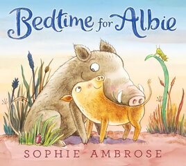 Bedtime for Albie цена и информация | Книги для малышей | pigu.lt