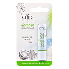 Lūpų balzamas su laimo branduoliu Rio de Coco Naturkosmetik, 4,5 g цена и информация | Помады, бальзамы, блеск для губ | pigu.lt