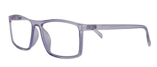 Компьютерные очки с защитой от синего света для мужчин Lensor UltraBlue LD 2429 55-17-146 C7 (L), прозрачно-серый цена и информация | Очки | pigu.lt