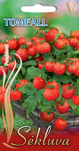 Valgomieji pomidorai Tomfall цена и информация | Daržovių, uogų sėklos | pigu.lt