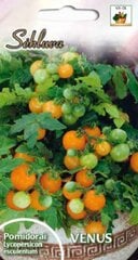 Помидоры балконные ВЕНУС цена и информация | Семена овощей, ягод | pigu.lt