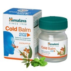 Eukalipto balzamas Himalaya Herbals Cold Balm, 10 ml цена и информация | Мази, бальзамы | pigu.lt