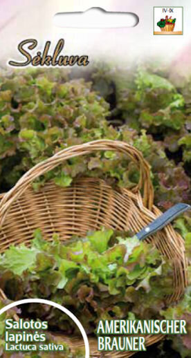 Sėjamosios salotos Amerikanischer Braunei kaina ir informacija | Daržovių, uogų sėklos | pigu.lt