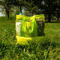 Paplūdimio/pikniko krepšys su termo dėžute kaina ir informacija | Termosai, termorankinės | pigu.lt