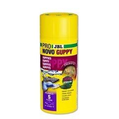 Pašaras gupijoms JBL ProNovo Guppy Flakes S 250 ml kaina ir informacija | Maistas žuvims | pigu.lt