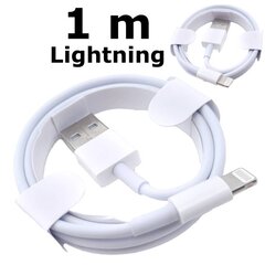 Laidas Type Lightning – USB, 1 m kaina ir informacija | Laidai telefonams | pigu.lt