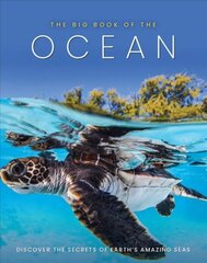 Big Book of the Ocean kaina ir informacija | Enciklopedijos ir žinynai | pigu.lt