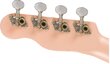 Soprano ukulelė Fender Venice SHP WN kaina ir informacija | Gitaros | pigu.lt