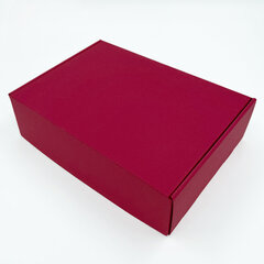 Premium dovanų dėžutė, 305x215x85mm kaina ir informacija | Dovanų pakavimo priemonės | pigu.lt