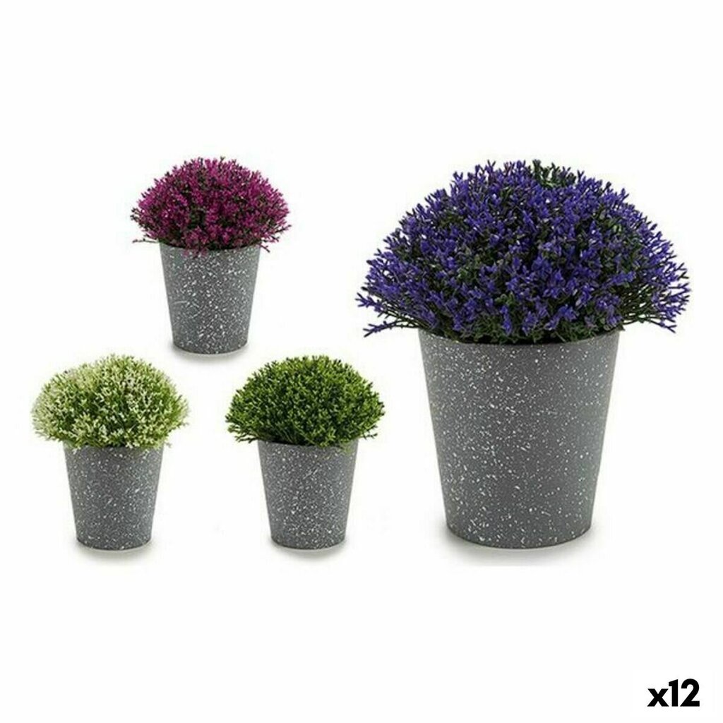 Dekoratyvinis augalas 14 x 15 x 14 cm, 12 vnt. цена и информация | Dirbtinės gėlės | pigu.lt