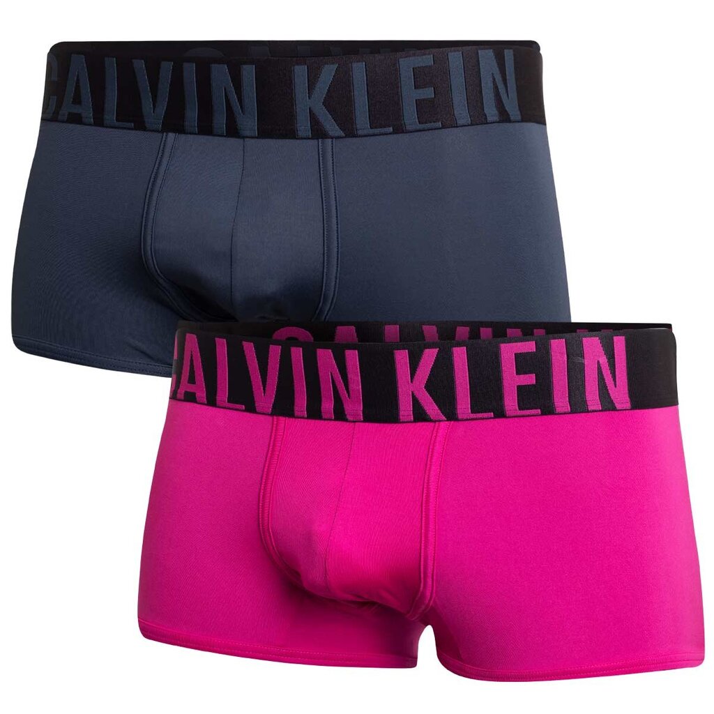 Trumpikės vyrams Calvin Klein Underwear, 2 vnt. kaina ir informacija | Trumpikės | pigu.lt