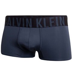 Мужские трусы Calvin Klein Underwear, 2 шт. цена и информация | Трусы | pigu.lt