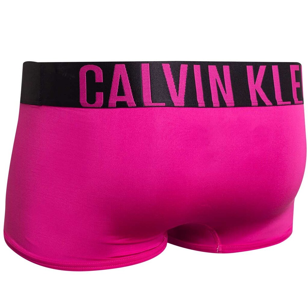 Trumpikės vyrams Calvin Klein Underwear, 2 vnt. kaina ir informacija | Trumpikės | pigu.lt
