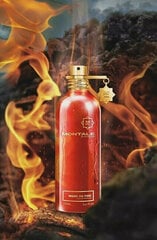 Парфюмированная вода для мужчин/женщин Montale Wood On Fire EDP, 100 мл цена и информация | Женские духи | pigu.lt