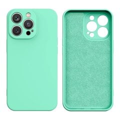 Silicone skirtas iPhone 13 Pro, žalia kaina ir informacija | Telefono dėklai | pigu.lt