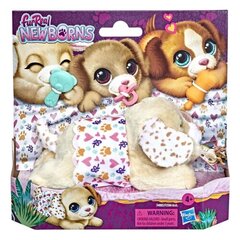 Interaktyvus šuniukas FurReal Newborns, Hasbro kaina ir informacija | Minkšti (pliušiniai) žaislai | pigu.lt