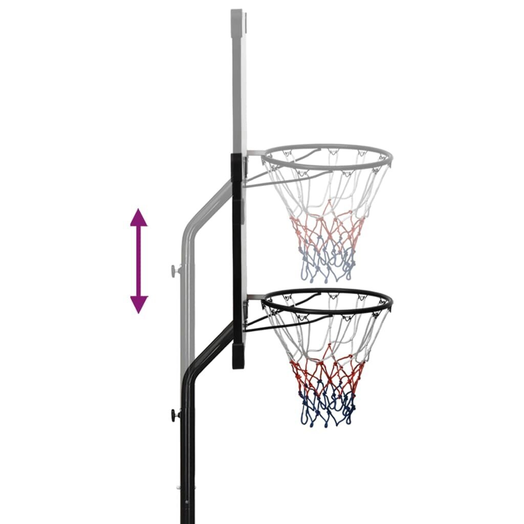Krepšinio stovas vidaXL, skaidrus, 235–305cm, kaina ir informacija | Krepšinio stovai | pigu.lt