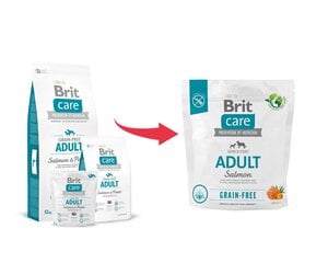 Brit Care Grain-free сухой корм для собак мелких и средних пород, 1 кг цена и информация | Сухой корм для собак | pigu.lt